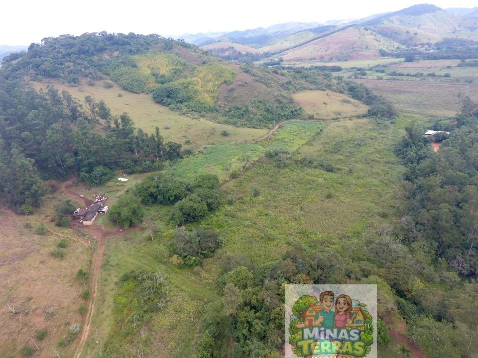 Fazenda à venda: Fazenda 95 hectares — entre Piau e Goianá em Entre Piau e Goianá, MG