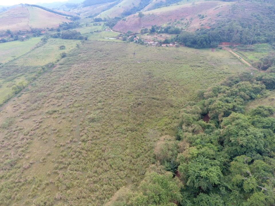 Fazenda 95 hectares — entre Piau e Goianá — foto 3