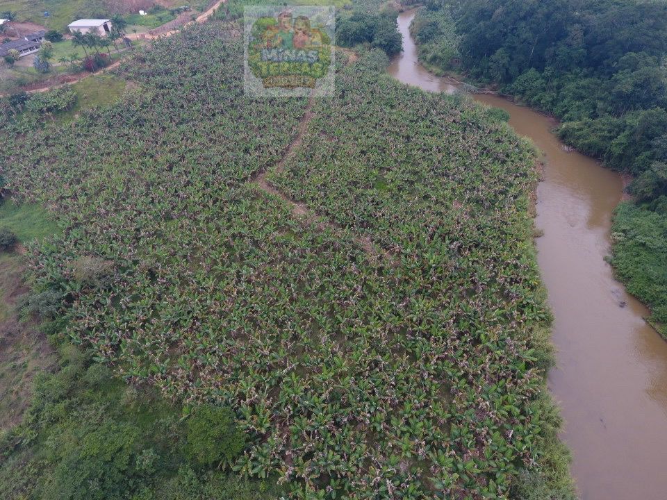 Sítio em Piau — 31,9 hectares com indústria de banana — foto 2
