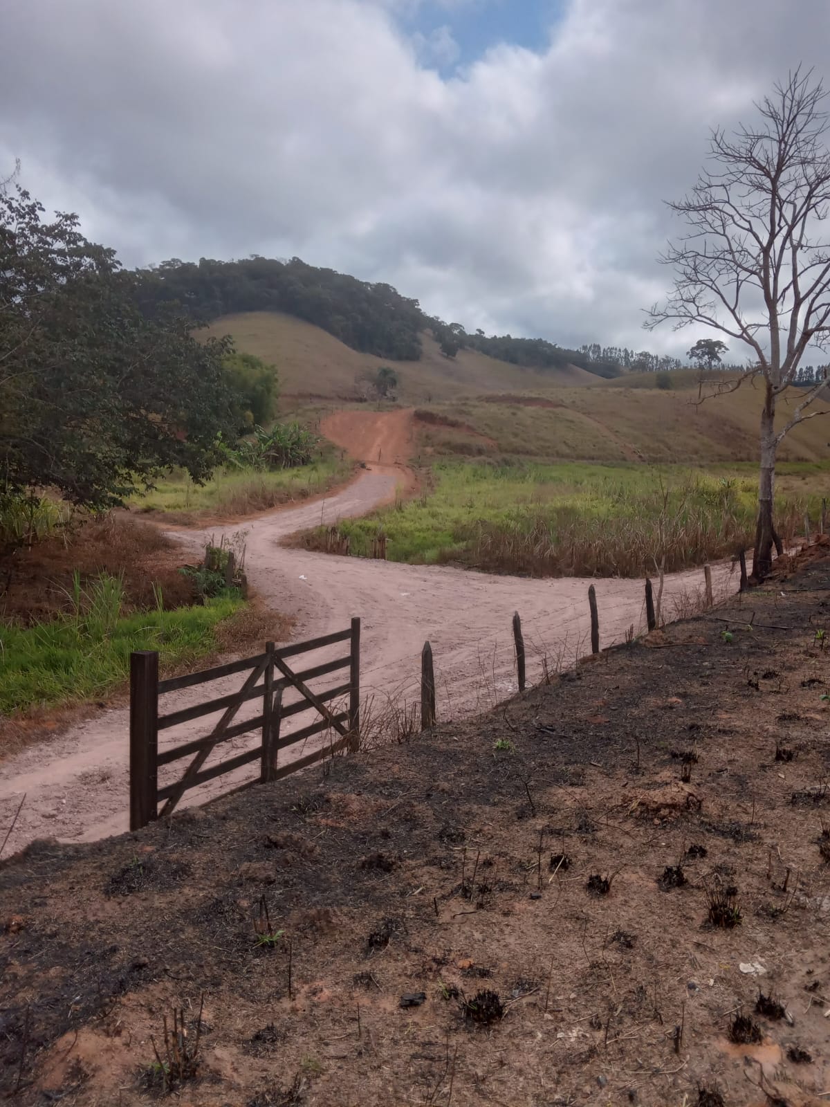 Sítio em Piau sentido a Tabuleiro — foto 3